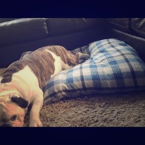 Design of your Choice-Dog Pillow Bed